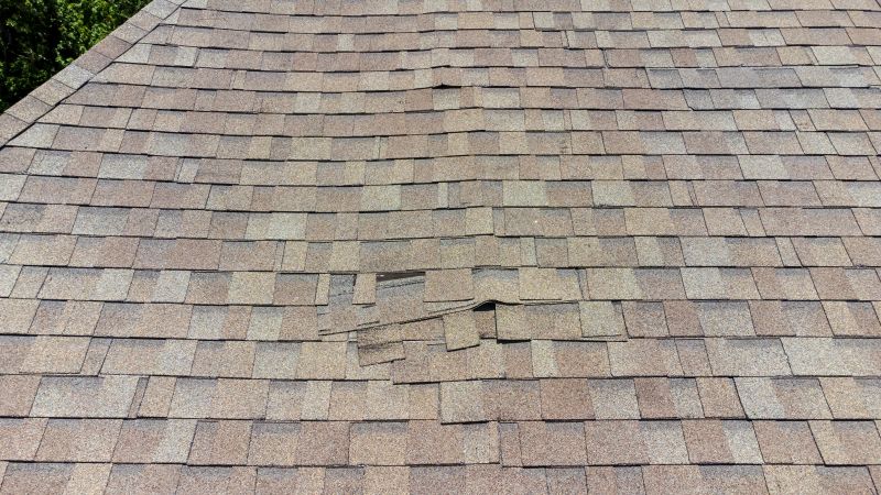 Asphalt Roof Inspection in Brigantine, NJ