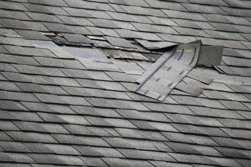Asphalt Roof Leak Repair in Tuckerton, NJ