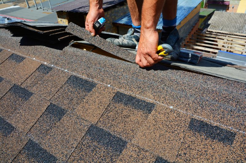 Asphalt Roof Repair in Browns Mills, NJ