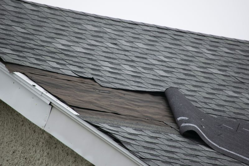Asphalt Shingles Repair in Toms River, NJ