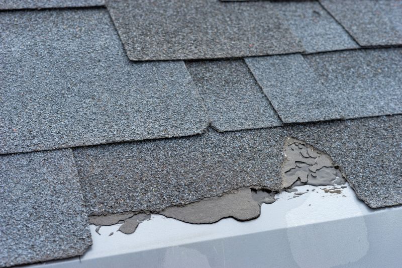 Damaged Roof Repair in Beach Haven, NJ