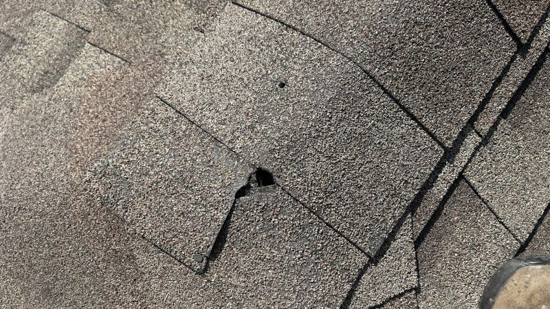Damaged Roof Repair in Tuckerton, NJ