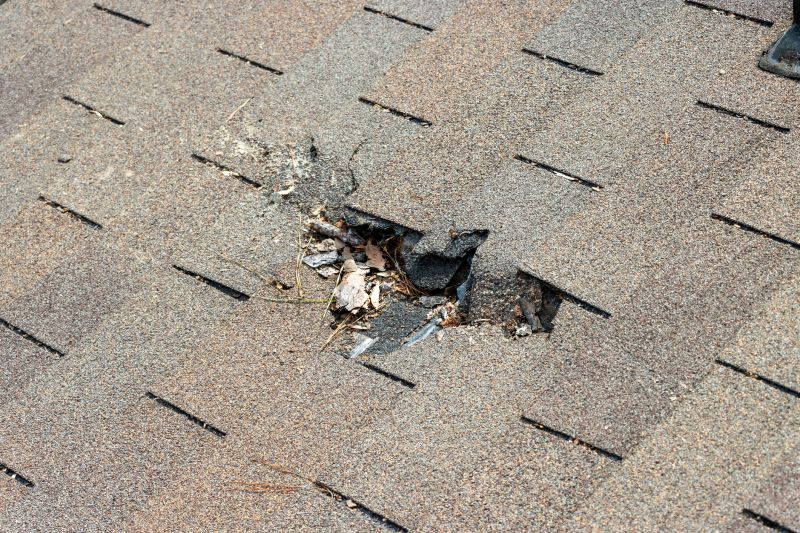 Damaged Roof Replacement in Manahawkin, NJ