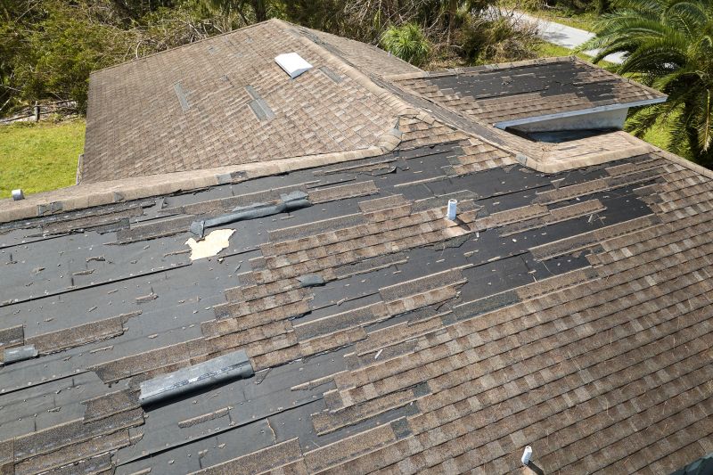 Hail Damage Roof Repair in Manahawkin, NJ
