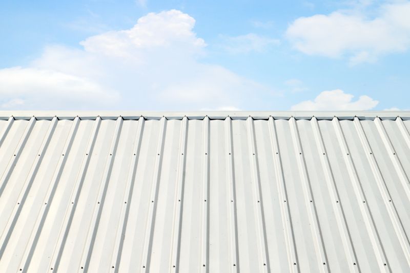 Metal Roof Coating Service in Manahawkin, NJ