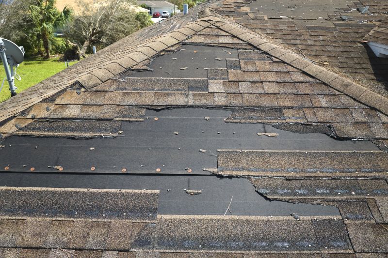 Roof Hail Damage Repair in Manahawkin, NJ