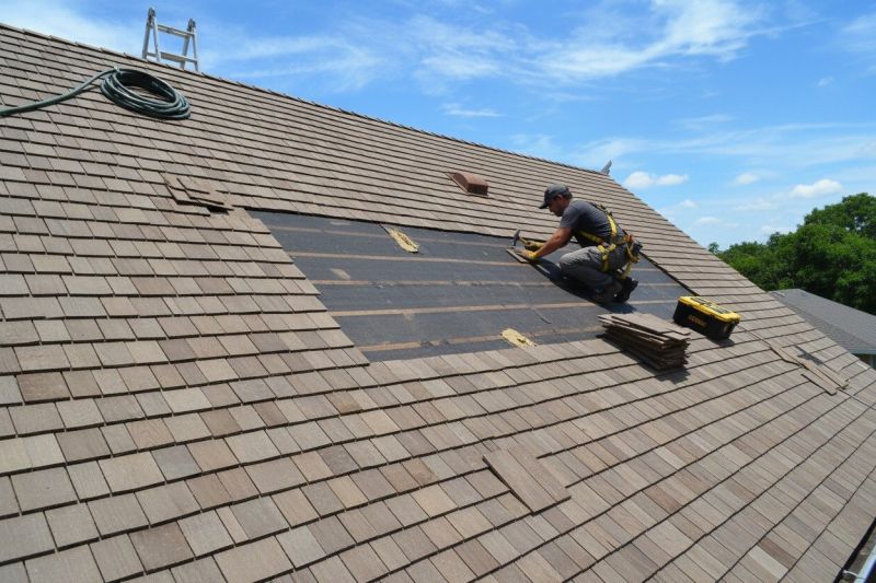 Shake Shingle Repair in Beach Haven, NJ